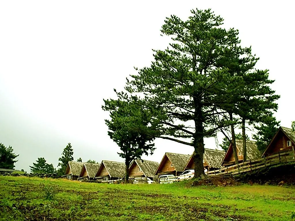 *** Rezort Hotel Jeju Yangtte Farm Jižní Korea