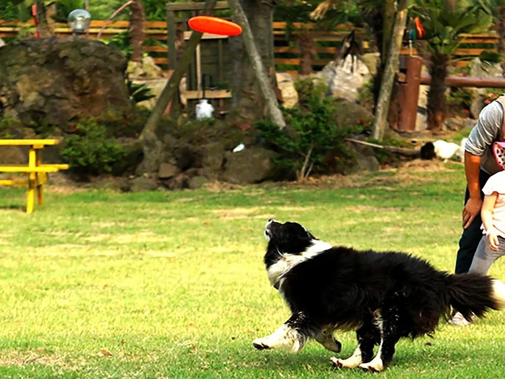 Hotel Jeju Yangtte Farm 3*,  Jižní Korea
