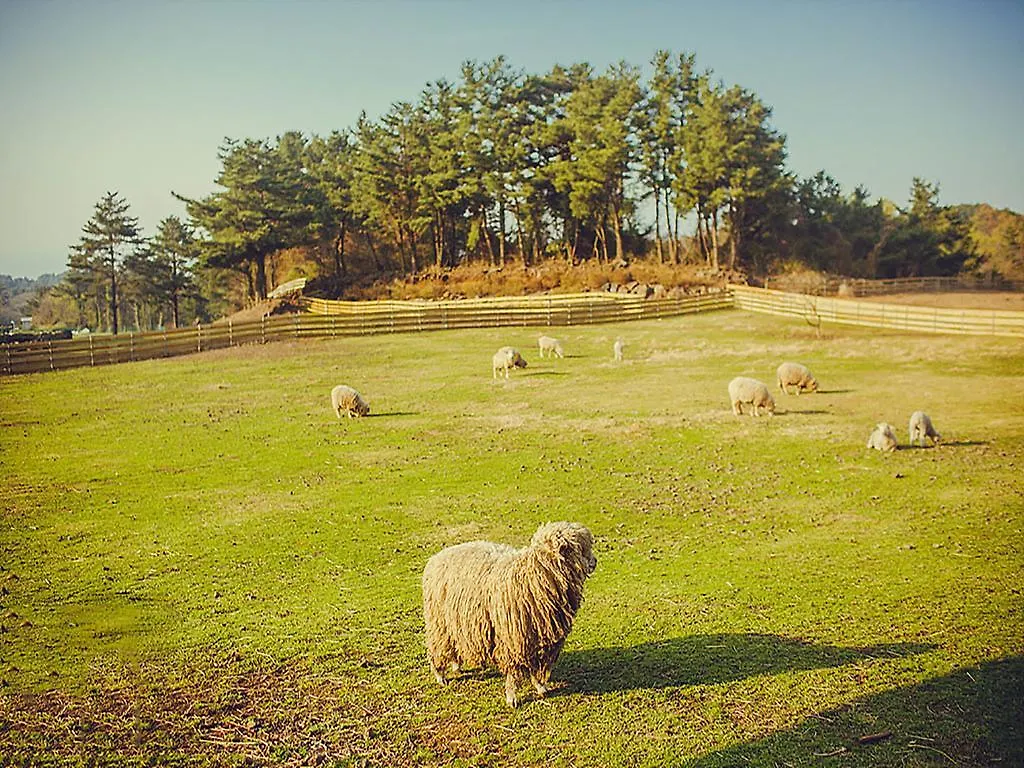 Jeju Yangtte Farm Hotel